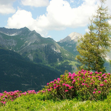 Camping Vorarlberg - Austria Parks