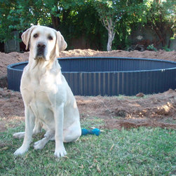 Install and Assembly - Trampolines