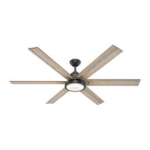 Ceiling fans