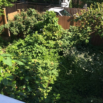 Northwest DC Cityscape