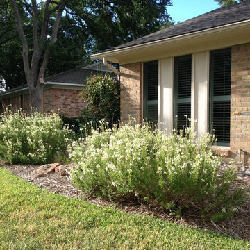 Drought Tolerant Landscape