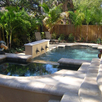 Tampa Florida Transitional Poo Spa Outdoor Living