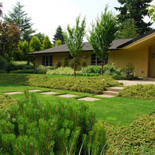 Kenwood Duplex Project