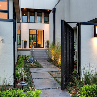 Cette photo montre un grand jardin avant tendance.