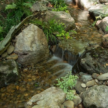 Backyard Stream.