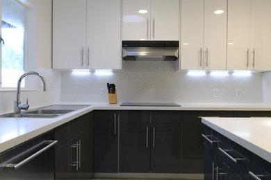 Inspiration for a contemporary kitchen remodel in San Francisco