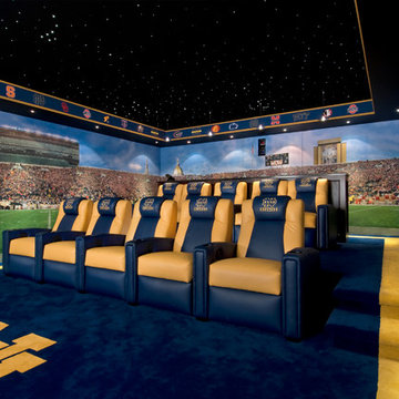Notre Dame Inspired Home Theater