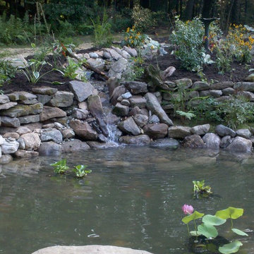 Back Yard Pond - Avon