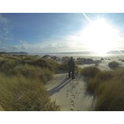 Matt Jensen's photo