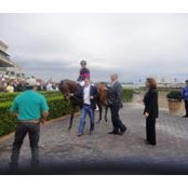 Todd Dobozi's photo