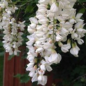 Barb Anderson Ostmoe's photo