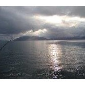 Chris Kourkos's photo