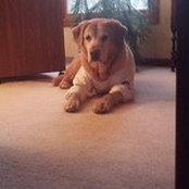 Jill Ludvigsen's photo