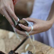 Elena Leveppa's photo