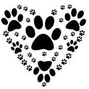 Jan Marchlewski's photo