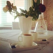 Lili Mutlu's photo