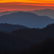 Denise Emerson Dermody's photo
