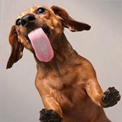 Curt Toyer's photo