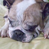 Tammy Stegman's photo