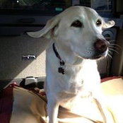 Paul Kanitra's photo
