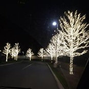 Laddy Vostrovsky's photo