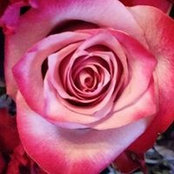 Taryn Whitaker's photo