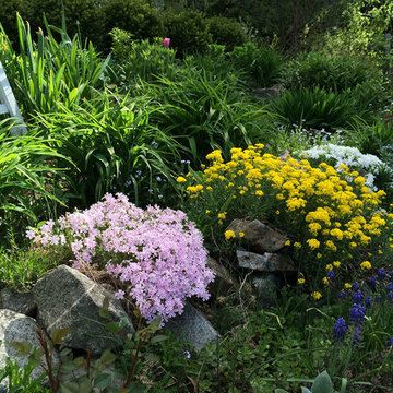 Garden Closeups from EDLA Designs