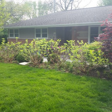 sycamore mulch-less conversion