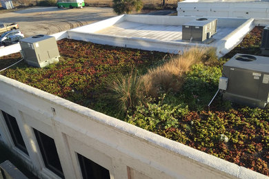 Design ideas for a mid-sized modern rooftop full sun garden in Charleston with a container garden.