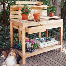 Paula Haddix's Ideas