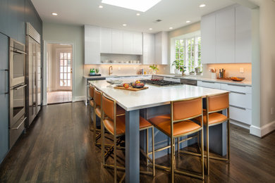 Kitchen - transitional kitchen idea in DC Metro