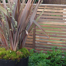 planters