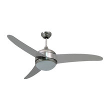 Ceiling Fans