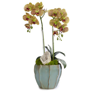 Double Orchid in Blue Finned Pot, Green