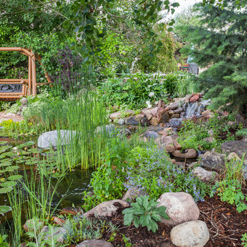 Water on the Rocks at Milano Drive  Longmont