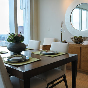 Contemporary Lake View Apartment