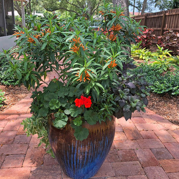 A garden that's a reminder of home