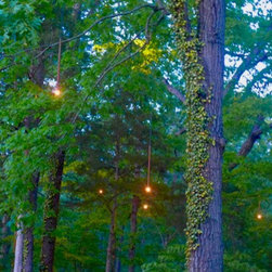 Firefly Lighting - Products