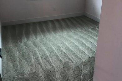 シアトルにあるおしゃれな客用寝室 (カーペット敷き、緑の床)