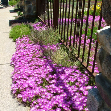Water wise landscape