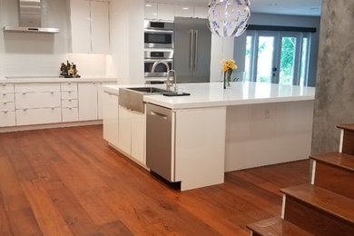 Photo of a modern kitchen in Tampa with medium hardwood floors.