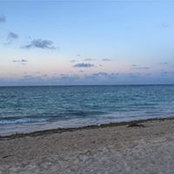 Amy Lang's photo