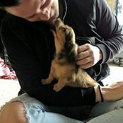 Brandon Hodge's photo
