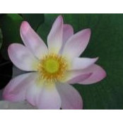 Shana Zink's photo