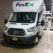 Ronald Rizzo's photo