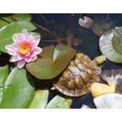 Nancy DeGans's photo