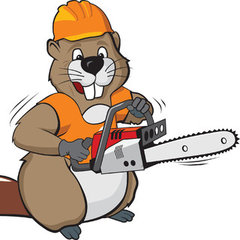 Beaver's Tree Service, Inc.