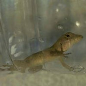 Frank Voznek's photo