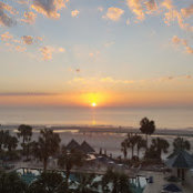 Ladan Lamea's photo