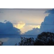 Sharon Stuyt's photo